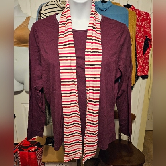 #094 LLBean Solid long sleeve Knit w Striped Scarf. Varies color - Picture 2 of 9